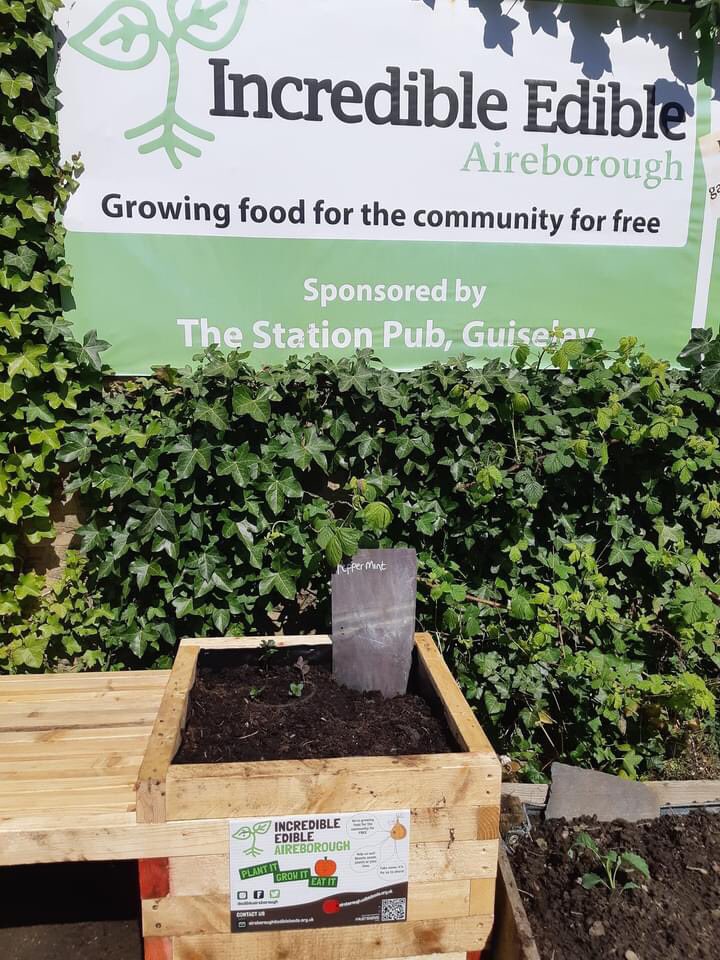 Incredible Edible Aireborough had a fantastic #GoodToGrow2024 and 9th birthday event! 🌱 Thanks to The Station Pub. New beds made by @leeds_wood. Join them on Sunday 19th May 11-1pm more planting for the community.