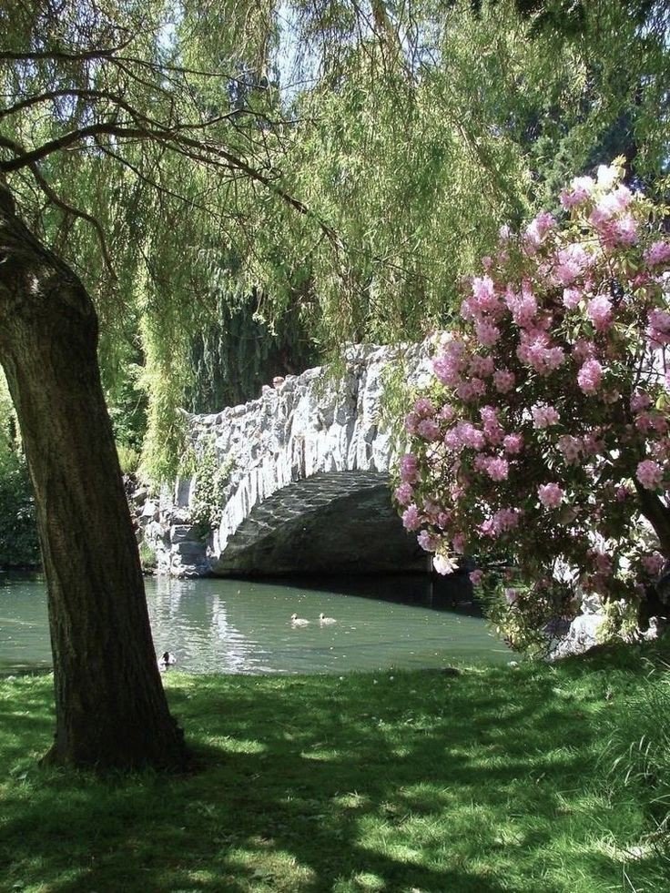 Buenos días amigos.