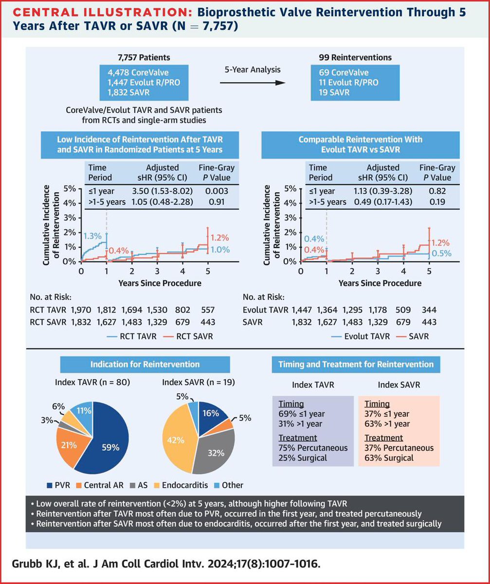 Reinterventions After CoreValve/Evolut Transcatheter or Surgical Aortic Valve Replacement for Treatment of Severe Aortic Stenosis

low incidence of reintervention was observed for CoreValve/Evolut R/PRO and SAVR through 5 years.

jacc.org/doi/10.1016/j.…