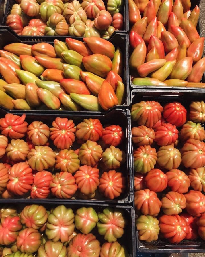 Poc a poc ens van arribant més i més tomates, totes d’aqui, totes acabades de collir, totes de km0, des d’ara fins al mes de novembre o desembre en n’irem tenint. #verdura #tomates #fruitesnuria #ventalló #lescala #banyoles
