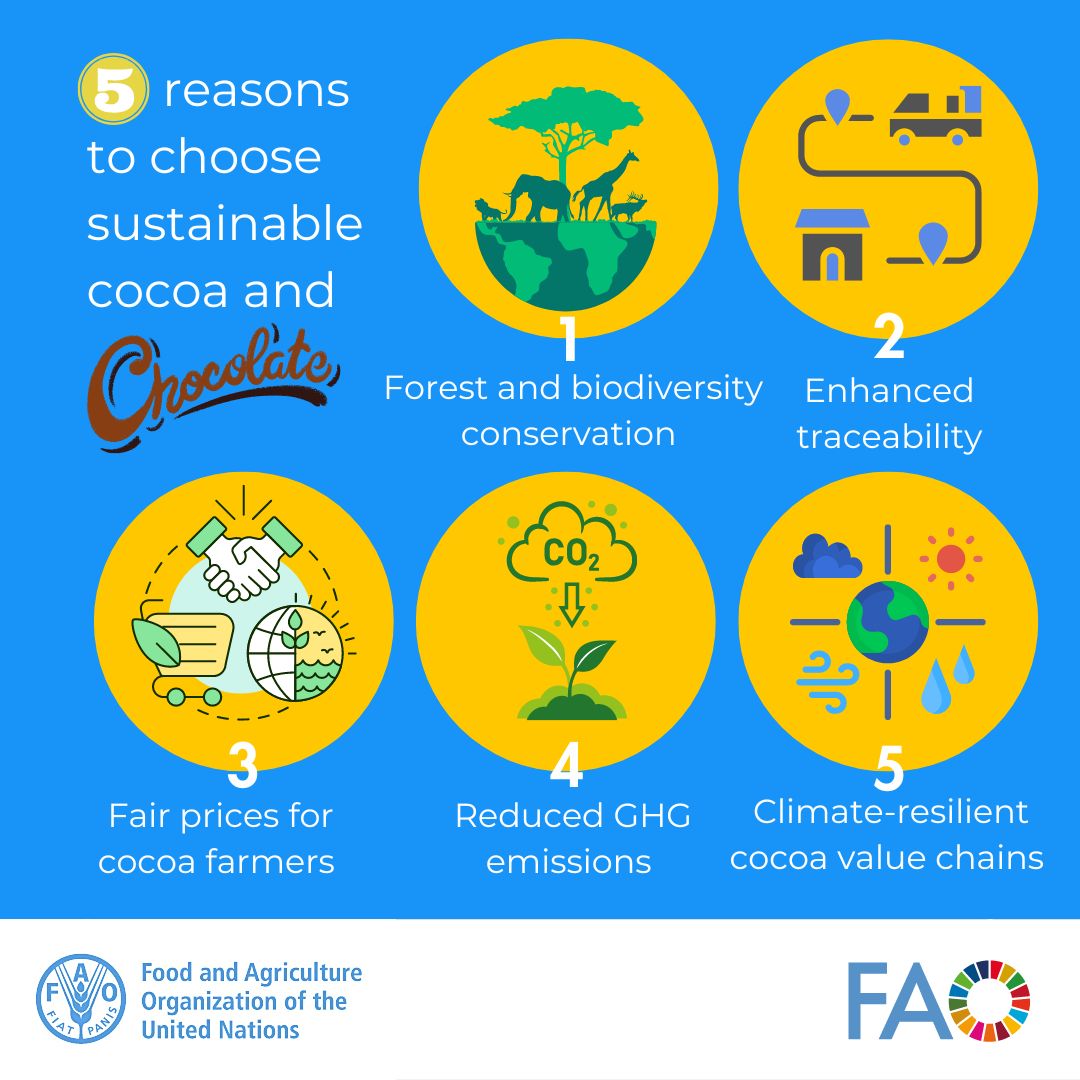Unstainable cocoa farming drives deforestation and biodiversity loss ❌ Sustainably sourced #Cocoa protects forests, conserves biodiversity, reduces GHG emissions, and boosts farmers’ incomes ✅ The choice is simple… bit.ly/GCF-Cocoa @FAO @theGCF