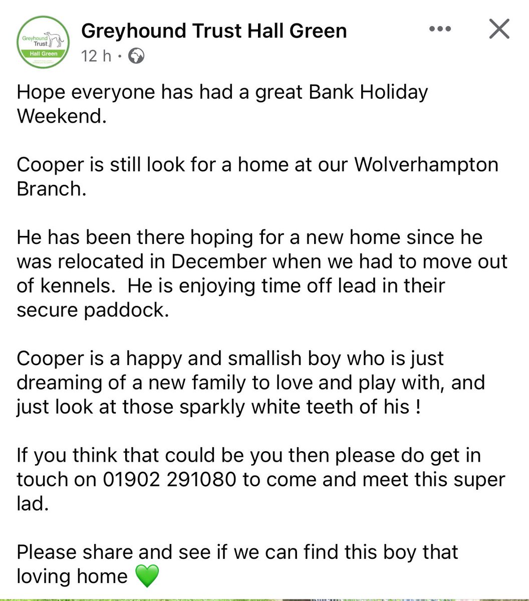 Cooper still looking for his forever home.
He is now at our Wolverhampton Branch so if you would like to meet him then please contact the kennels on 01902 291080 

A beautiful black boy who just needs some love 💚🐾
