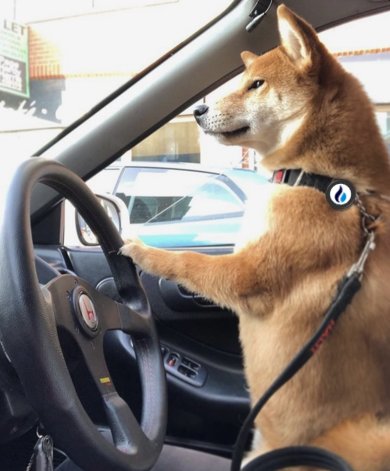 Smash the like button and let's ride!