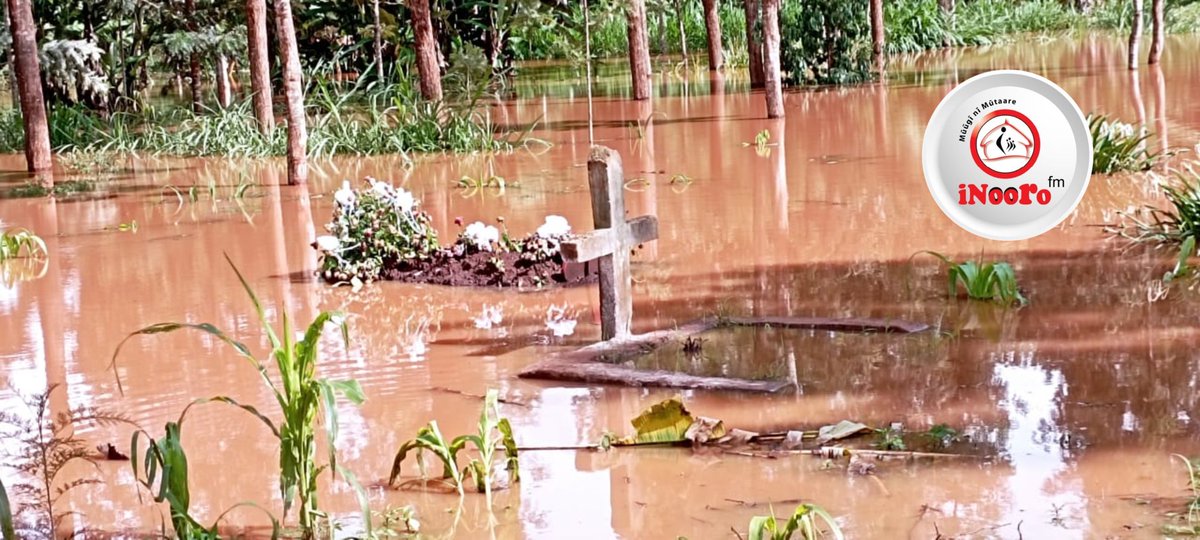 Bamiri inya kuuma mwena wa Mwea Gatundu ya rugongo ni irikitie guthama kuuma mucii-ini yao, na magathii gukombora nyumba niguo kuhonokia mioyo yao.Maugite nginya mbirira imwe iria marakoretwo mathika endwa ao ni ciambitie guthikurio ni maai.