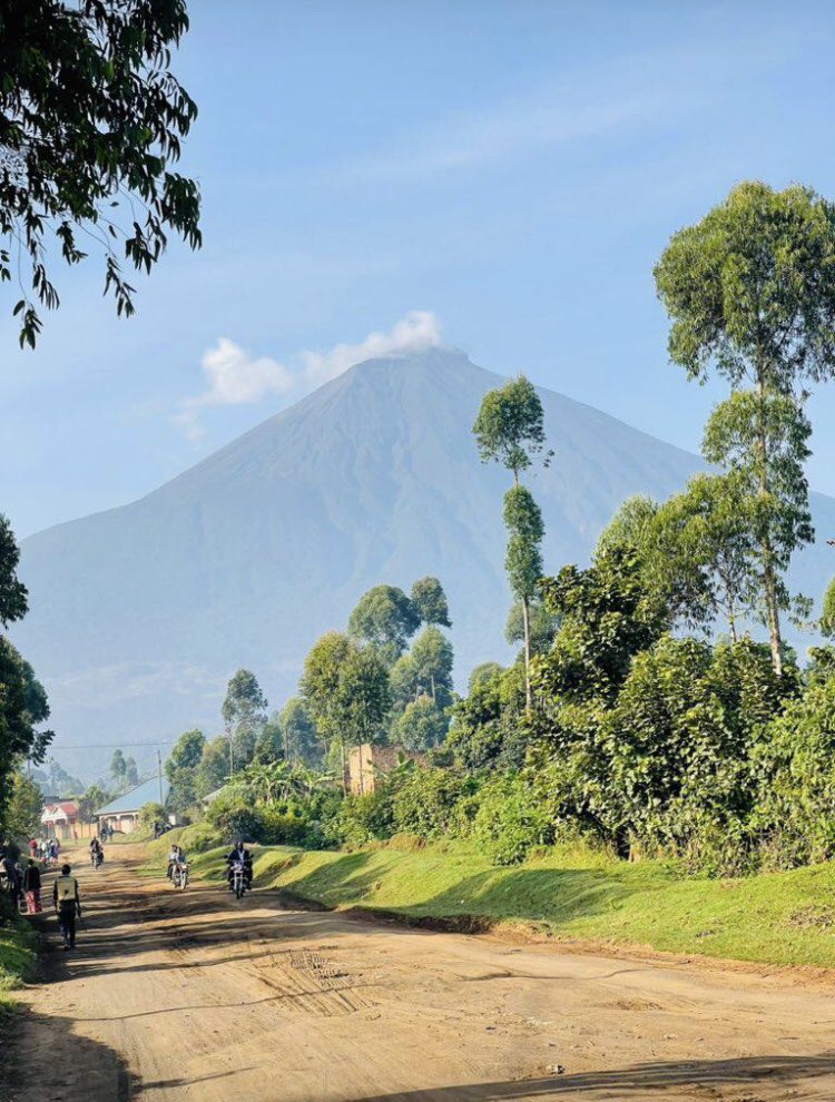 There are three Virunga Volcano mountains in Uganda namely; Mount Sabinyo, Muhabura and Gahinga. all found in the Southwestern district of Kisoro near the borders of Uganda and Rwanda.
📍Virunga volcanoes Kisoro

📸 @akena256 
Cc: @EdwardGEN256 

#VisitUganda 
#ExploreUganda