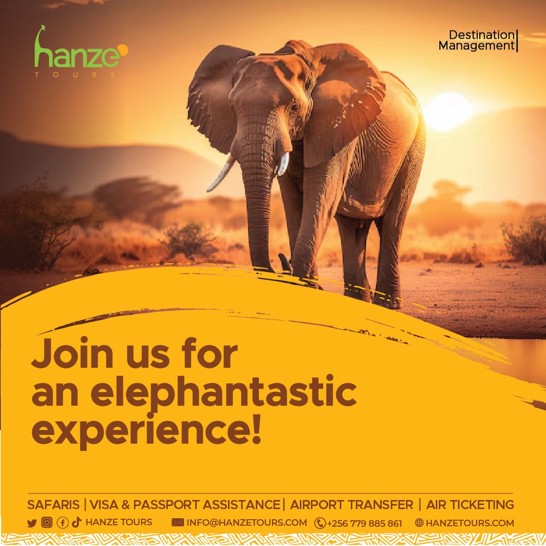 Life is a great travel trip but doesn't come with a map, we have to search our own way to reach destinations. Travel with Hanze tours & travel and experience the beautiful and friendly environment. For bookings reach out to us on 0779885861. #Travel #tourism #hanzetours