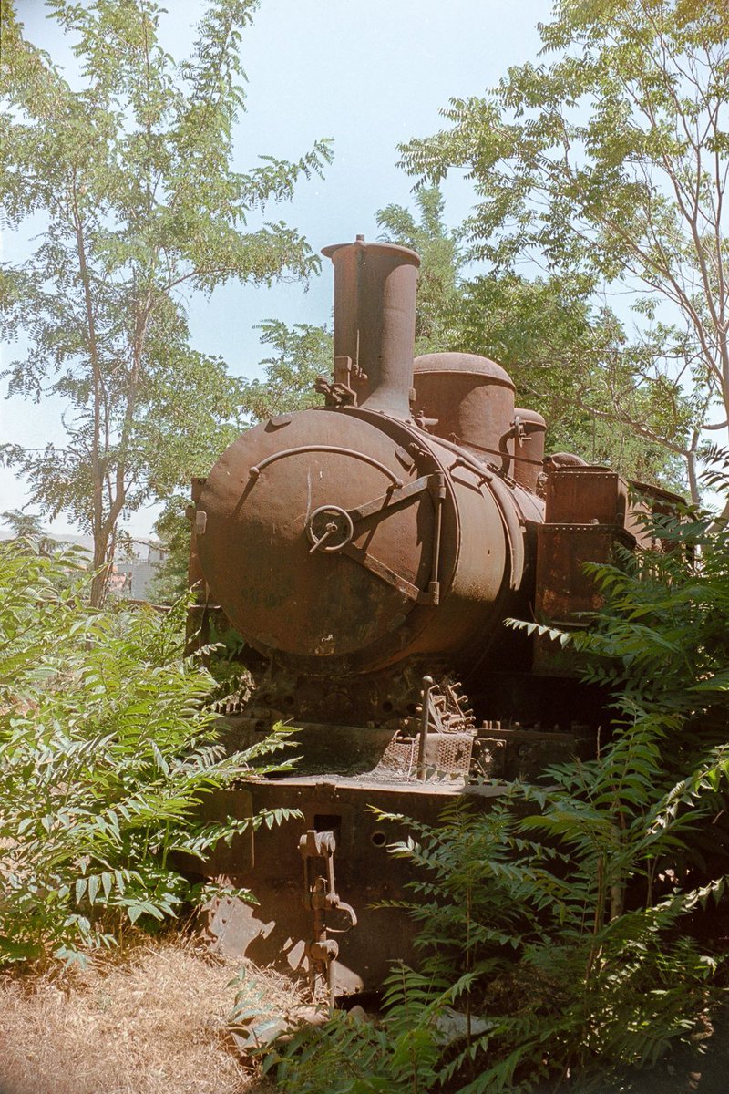Rusting steam train overgrown by trees 📷 Zenit E 🔎 Mir-1b 37mm Film: #washix #35mm Lebanon; June 2023 #filmisnotdead #believeinfilm #filmphotography