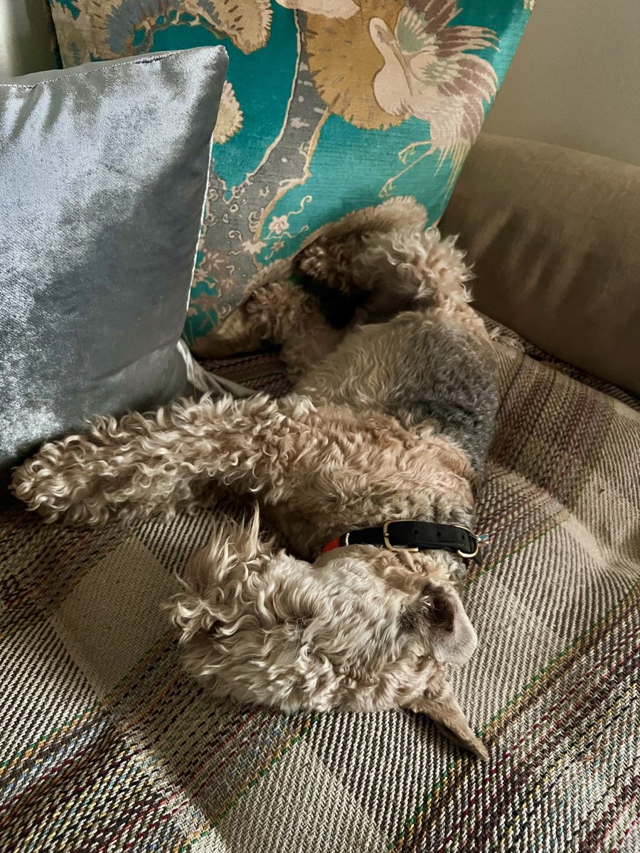 It’s my day off I’m staying right here ….. good morning everyone ❤️❤️