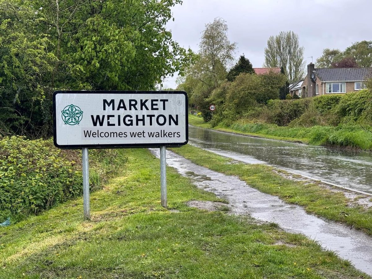 SighthoundSocialClub tweet media