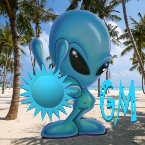 Pigrasso 🚀 tweet media