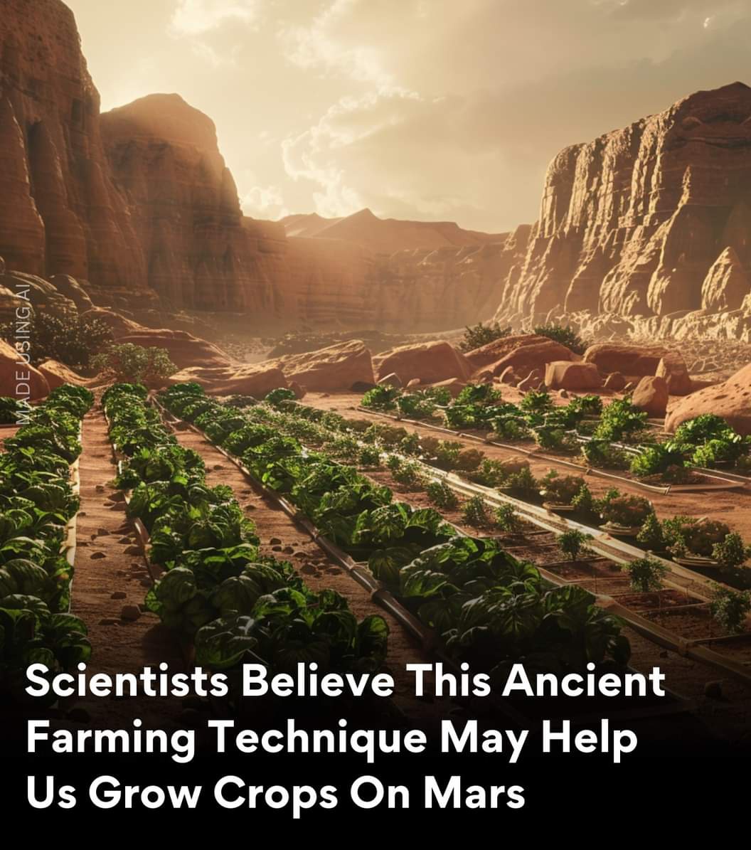 An ancient farming technique called intercropping, which involves planting several complementary crops together, might help grow food on Mars. #organicfarming #naturalfarming #ai #mars #food #valueinnovation #nobletransformationhub