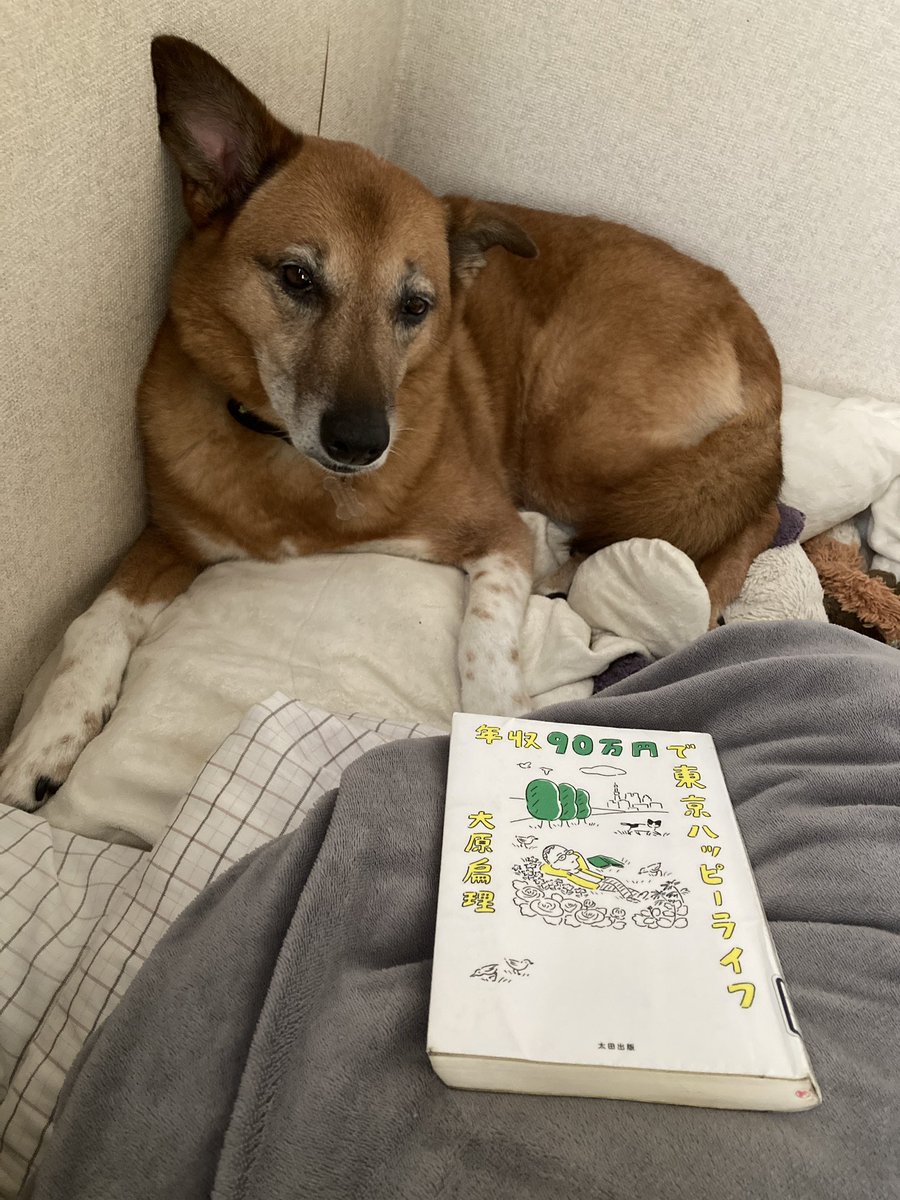 今日は雨音を聞き犬を愛でながら読書。
大原扁理著『年収90万円で東京ハッピーライフ』
学校でいじめられている子、疲れている人、閉塞感に苛まれている人におすすめの一冊。
自分軸の幸せを探すのが人生の最大の課題かな？と思った。
ミニマリストの人も興味深く読めるかも。