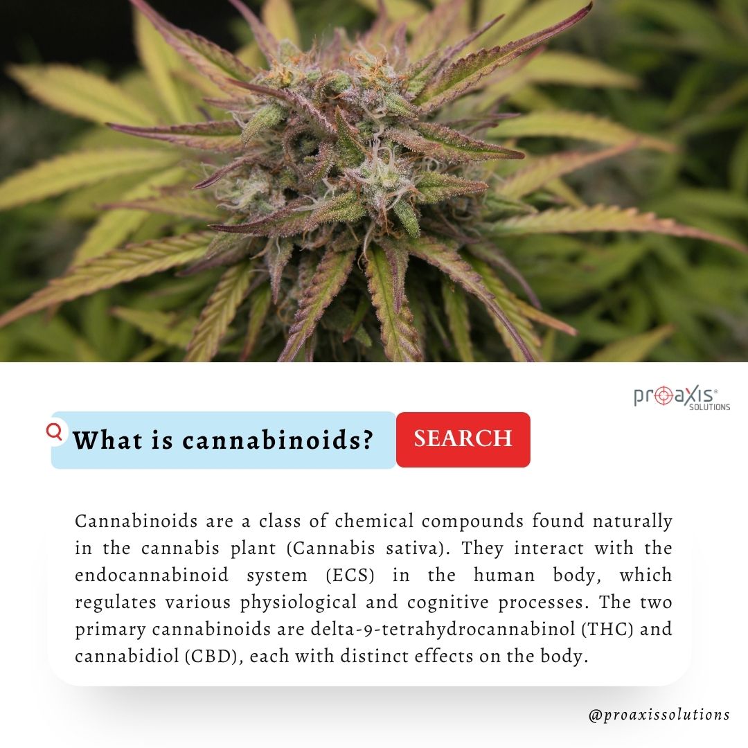 Have you heard of Cannabinoids?

Follow us @proaxisscitech

#cannabinoids #cbd #cannabiscommunity #medicalcannabis #hemp #cbdoil #cannabisculture #cannabismedicine #Hamas #cannabisresearch #AlJazeera #cbdlife #naturalmedicine #proaxissolutions