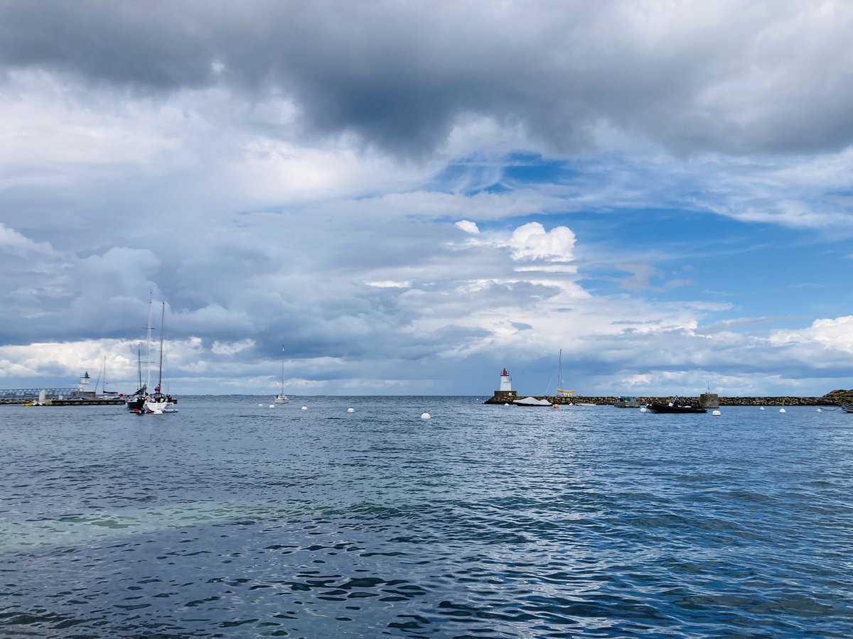 LEMAÎTRE Céline tweet media