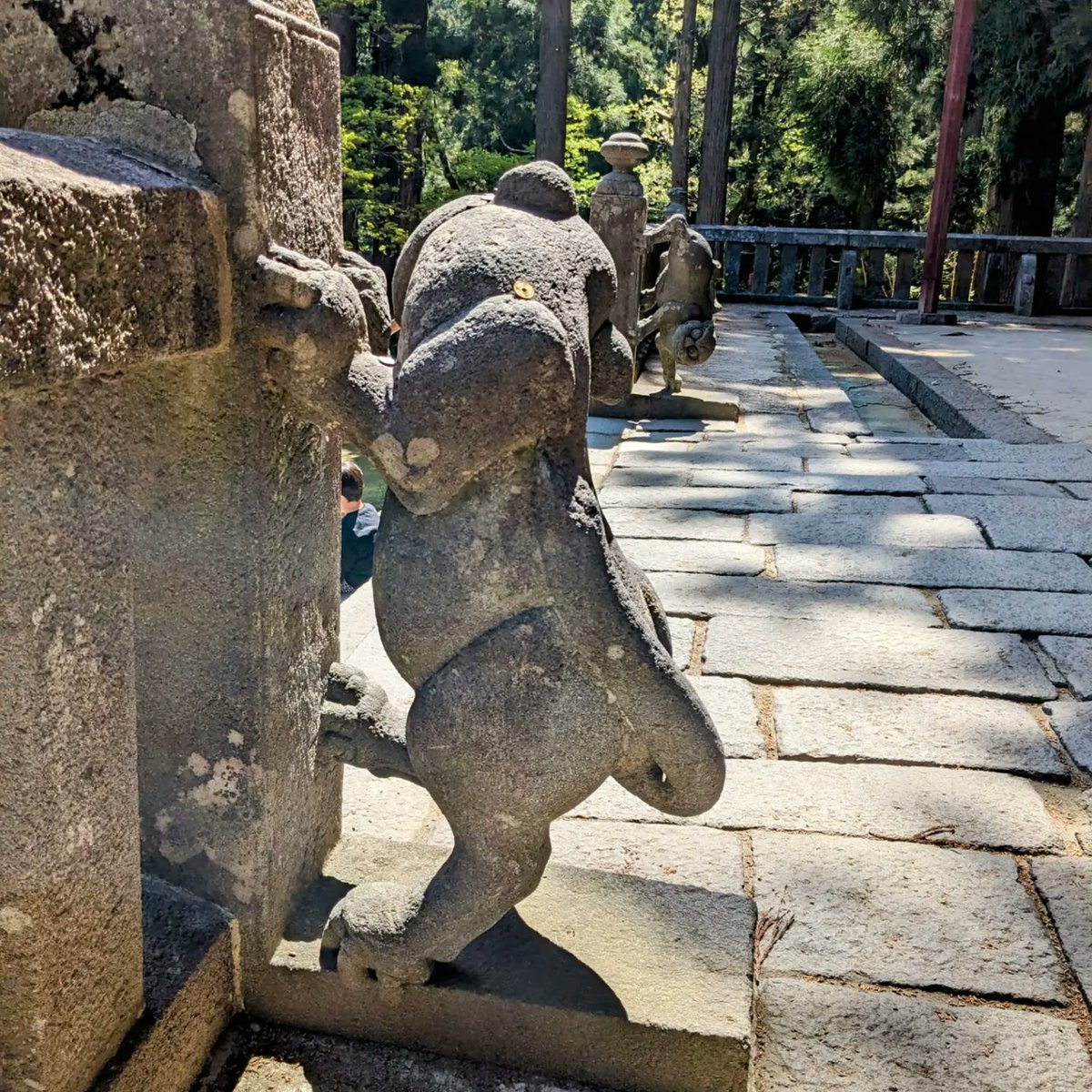 #岩木山神社 ⁡ ① ⁡青森県弘前市百沢寺沢２７⁡ ⁡また会えた!!⁡ ⁡玉垣の後ろからこっちの様子をそーっと、のぞいてた！！⁡ ⁡きゃ〜可愛すぎるヽ(*>□<*)ﾉｷｬ━━ｧ♡♡ #玉垣狛犬 #狛犬 #狛犬めぐる #弘前市 #青森県