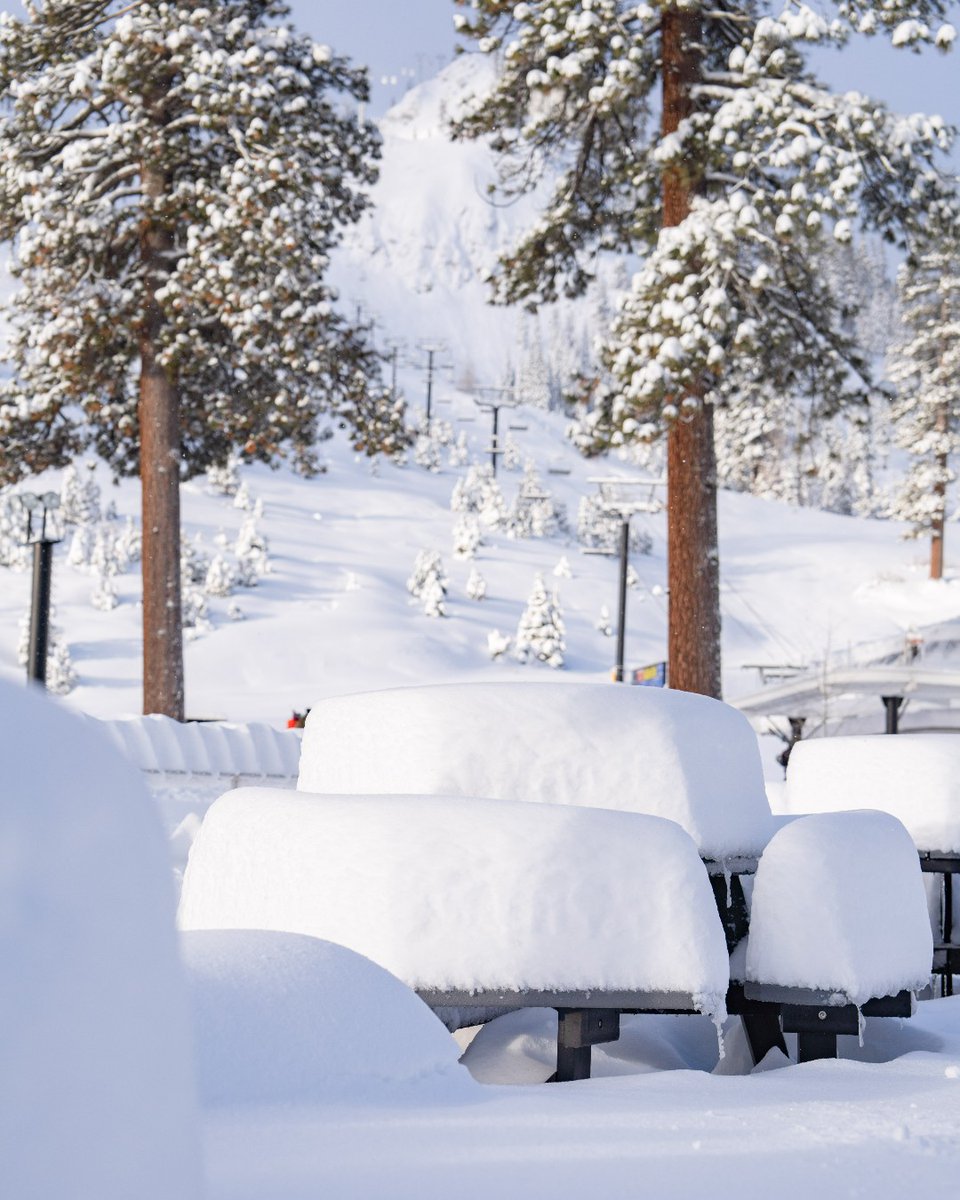 Chaletline's tweet photo. Wow! 40cm of new snow at Snowbird and 60cm at Palisades Tahoe...on 06 May! ❄️❄️❄️ https://t.co/P6fmPBSFFI