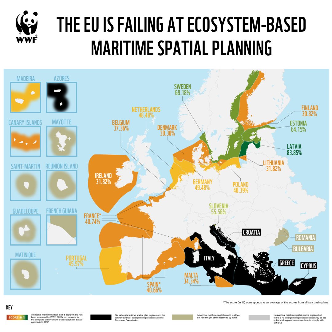 #BREAKING 🧩 Read our final assessment on the status of maritime spatial planning #MSP in the EU. Across 4️⃣ sea basins and the outermost regions, the results are clear: 📢 Urgent work is needed to deliver the #EUGreenDeal in all waters wwf.eu/?13597341/Sust…