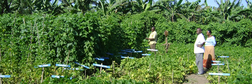 COMMUNITY SEED BANKING KEY TO ON-FARM CONSERVATION.
The Centre is engaged in sensitization of farmers and students on the management of plant genetic resources on farm. The Centre took on the challenge to educate and brief the participants on PGRC activities and their expected