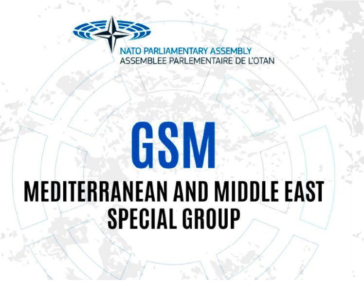 Secondo giorno della Riunione del Gruppo speciale Mediterraneo e Medio Oriente (Gsm), ospitata dalla Delegazione italiana presso l’Assemblea parlamentare della @NATO, presieduta da @L_Cesa. 

Segui la diretta: bit.ly/GSM070524 

#OpenCamera

Segue 👇