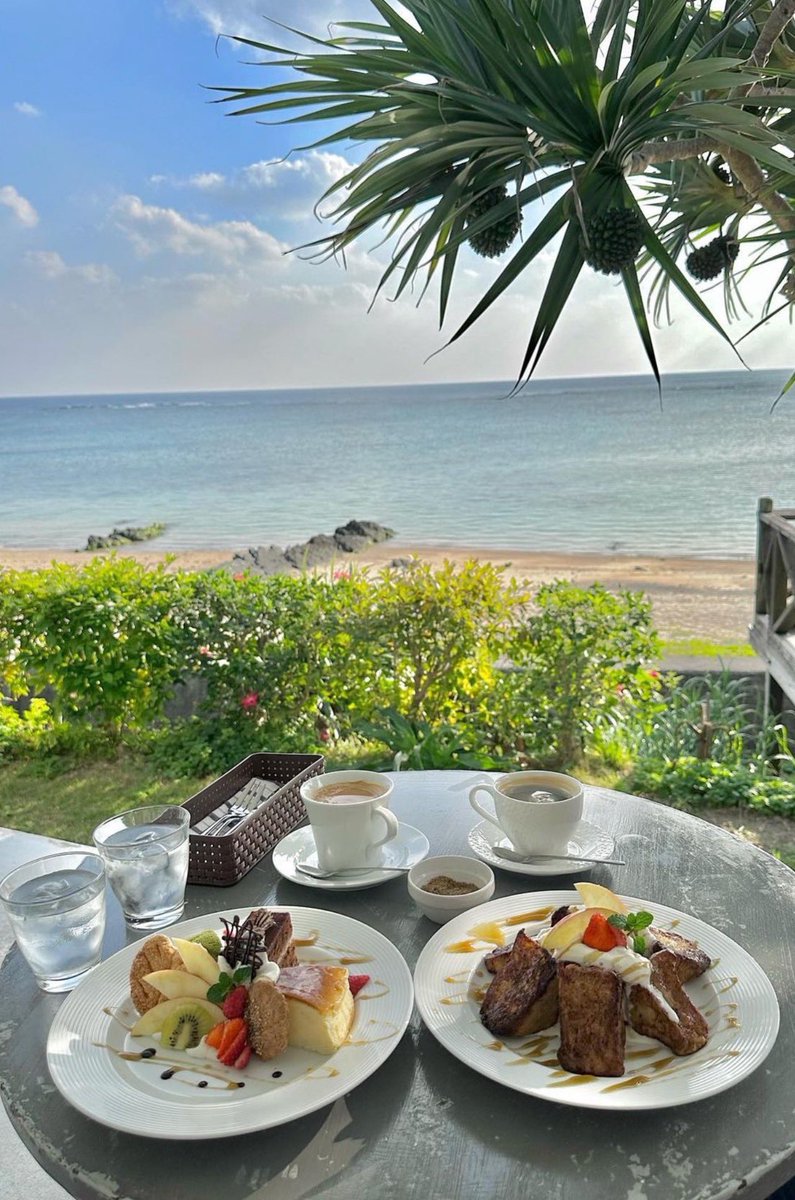 ゆっくり放牧出来た😎
🥕Fの一族を天春の恨みで🏝️に沈めて来た🤣（jk）疲れたから寝よ💤