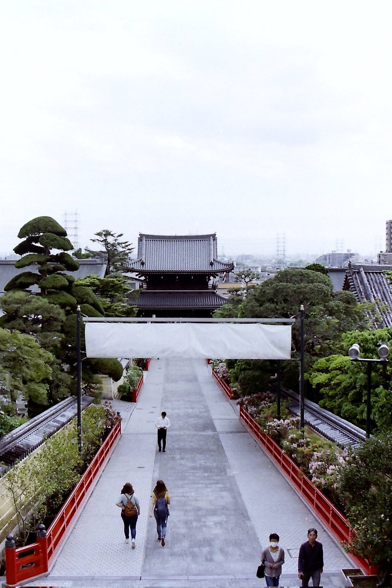 中山観音も外国人が来る様になった

Nikon NEW FM2
Voigtlander  ULTRON 40mm F2 Aspherical SL II S
FUJICOLOR 100
#Nikonfm2 #film
#Nikonフィルム一眼レフ