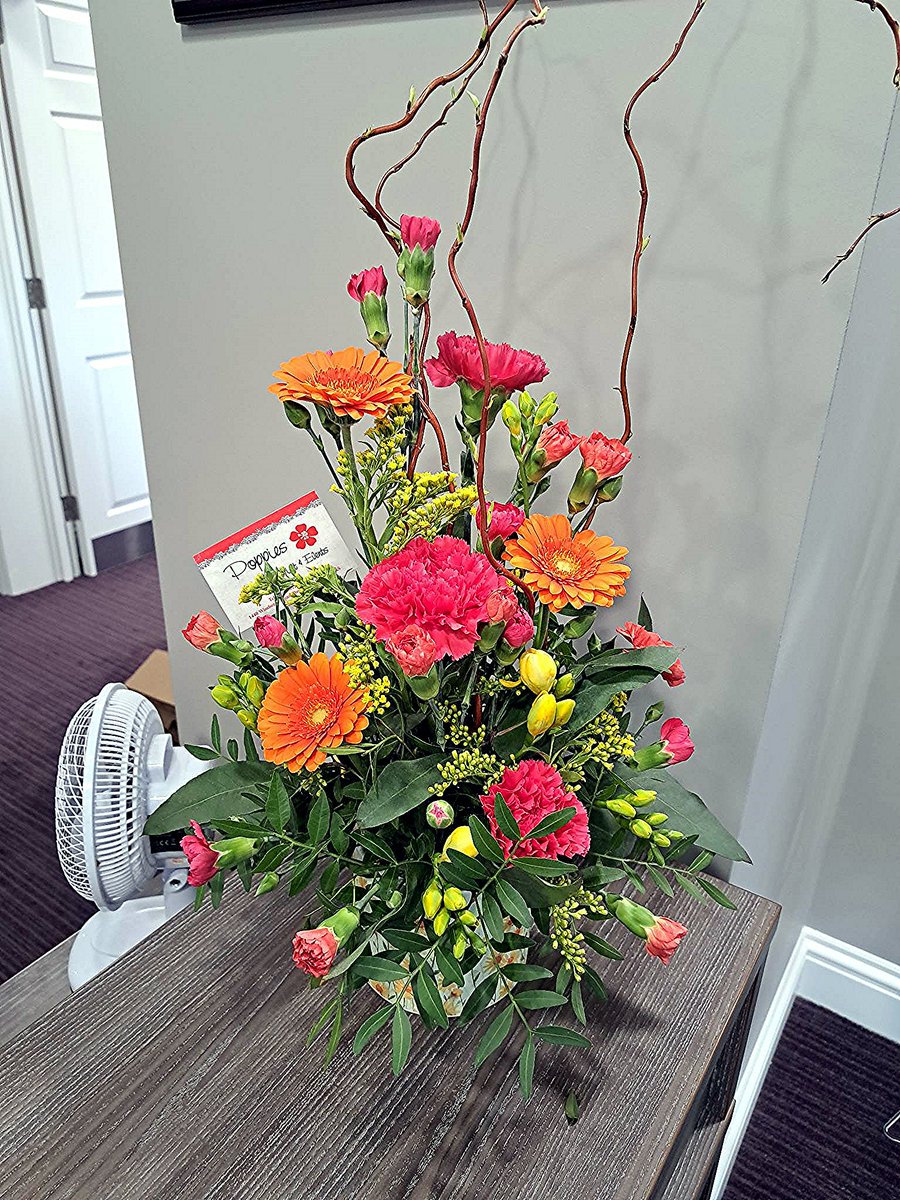 Weekly Reception Flowers Parley Place Care Home - Barchester Healthcare
created by poppies contact through webpage
#flower #flowerarrangement #floral #flowers #flowerstagram
#kinson #floristsandflowers #receptionflowers
#familybusiness #smallbusinessuk #independentflorist #fyp