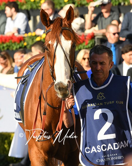 LisaGrimm9's tweet photo. Thankyou #CASCADIAN for your deeds on the racetrack. Another warhorse that gave his all. 
It always made my day more enjoyable and rewarding knowing horses like him are there.

📷 His last hurrah in the Queen Elizabeth Stakes 2024

@godolphin https://t.co/wN7exfp1V0