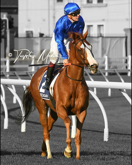 Thankyou #CASCADIAN for your deeds on the racetrack. Another warhorse that gave his all. It always made my day more enjoyable and rewarding knowing horses like him are there. 📷 His last hurrah in the Queen Elizabeth Stakes 2024 @godolphin