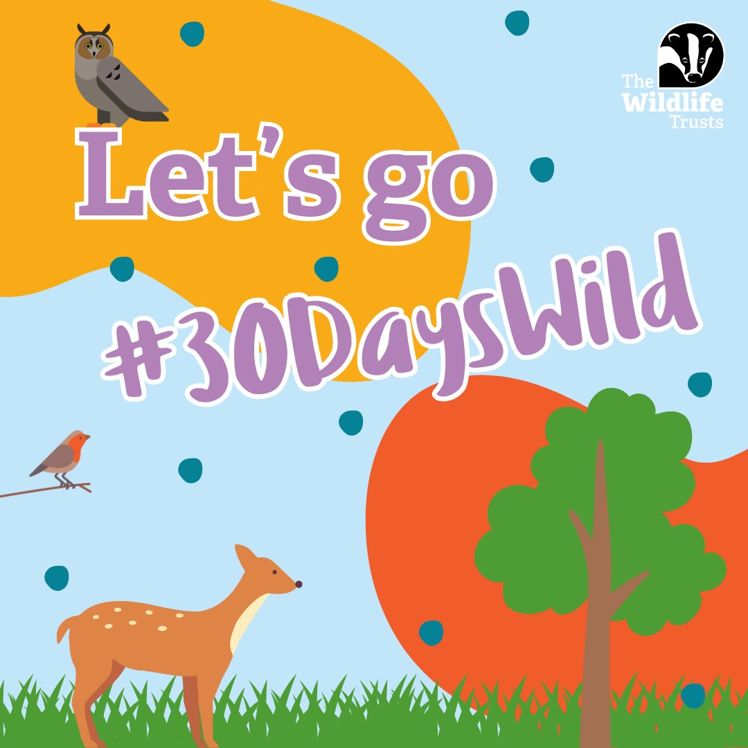 We’re challenging EVERYONE to do something wild every day in June for #30DaysWild. ☀ Make it your own, from bird watching to going on a 10-mile hike, wild activities can fit around you. There’s time for nature in everyone’s life. Sign up now 💚 wildlifetrusts.org/30dayswild