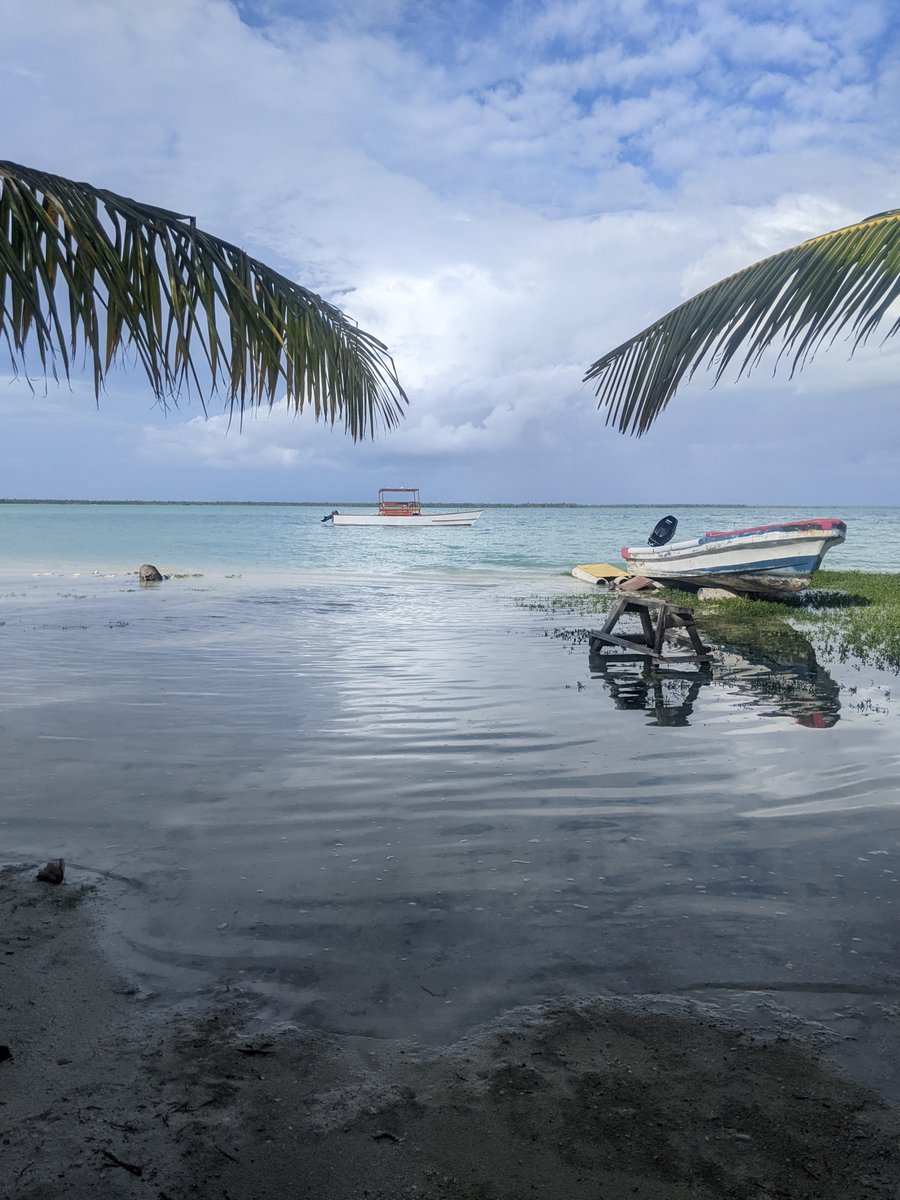 I was chatting to a friend in local gov in Kiritimati. He said the children need textbooks. Science, English, Maths, IT. I'm making a suitcase of books to fly. Can we do more for these brilliant kids? @LucyGoBag @APLNofficial @napf @KiribatiGov @Ofmooseandmen @Waterstones RT