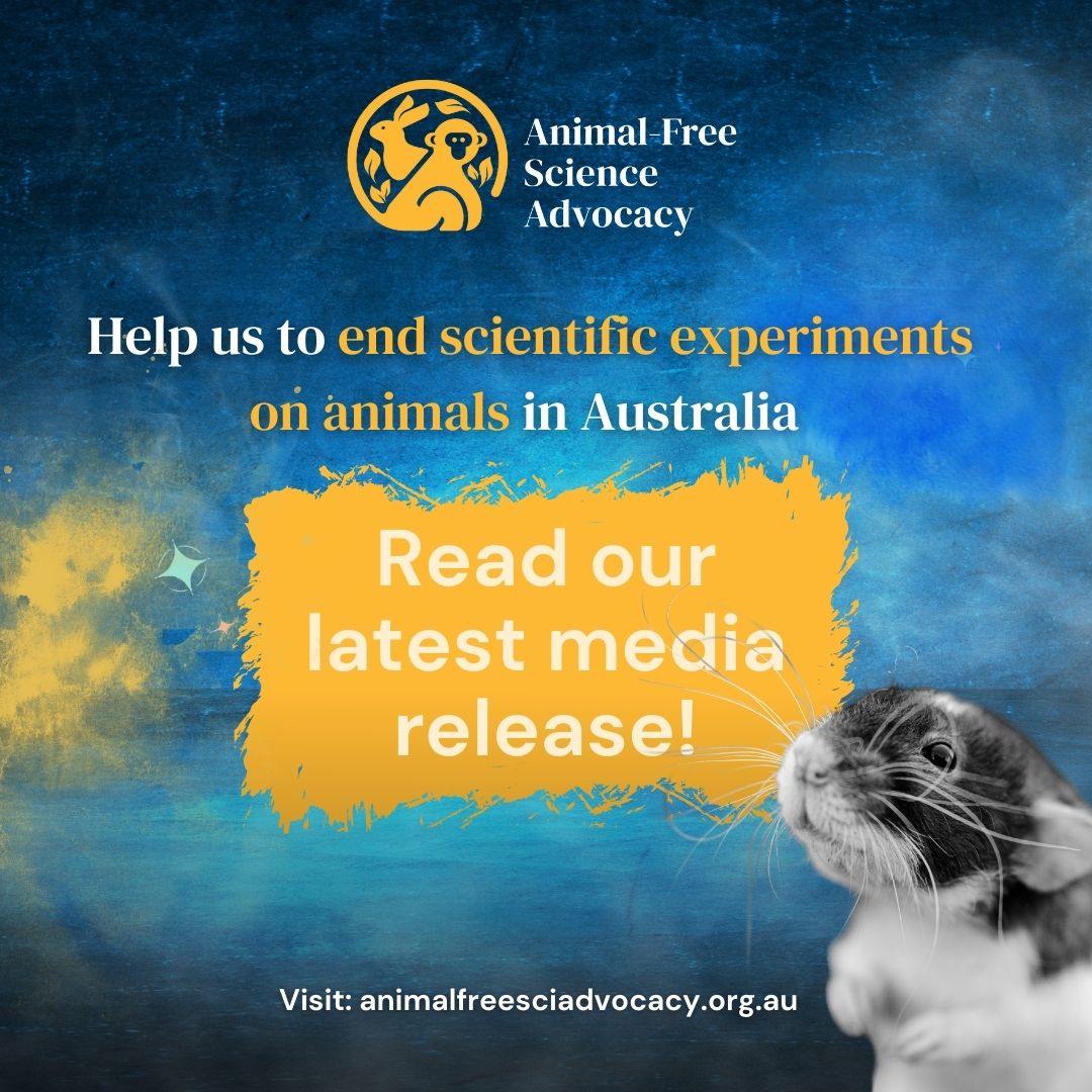 Documentation obtained by AFSA has identified an unexpected death of a macaque via strangulation, the holding of macaques significantly beyond the approved holding time, and deviations from approved protocols.
animalfreescienceadvocacy.org.au/failings-expos…