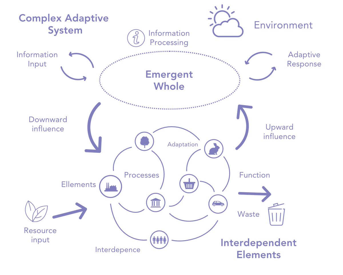 Graphic taken from our course on complex adaptive systems: t.ly/BdDuN and the booklet: t.ly/T8O3S