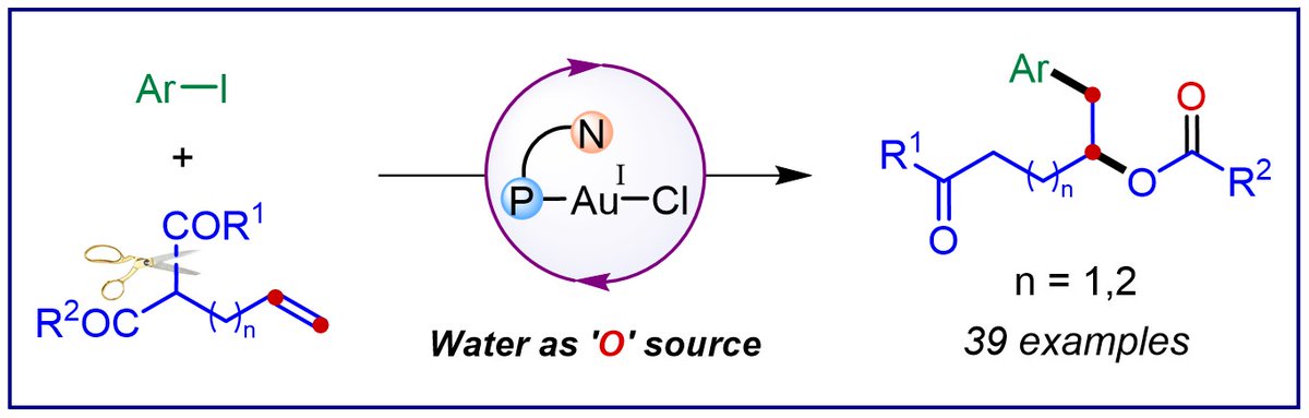 The Patil Group (@thepatilgroup) on Twitter photo Happy to share that the pre-print of our latest work on "Gold-Catalyzed 1,2-Carboxyarylation of Alkenes" is now available on <a href="/ChemRxiv/">ChemRxiv</a>.
Check it out - go.shr.lc/3Wx2WZ0
<a href="/NandaTanmayee/">TANMAYEE NANDA</a> <a href="/AvishekDas01/">Avishek Das</a> <a href="/bera_prafu37761/">Prafulla Bera</a> <a href="/chm_iiserb/">Dept of Chemistry, IISER Bhopal</a> <a href="/iiserbhopal/">IISER Bhopal</a> Happy to share that the pre-print of our latest work on "Gold-Catalyzed 1,2-Carboxyarylation of Alkenes" is now available on <a href="/ChemRxiv/">ChemRxiv</a>.
Check it out - go.shr.lc/3Wx2WZ0
<a href="/NandaTanmayee/">TANMAYEE NANDA</a> <a href="/AvishekDas01/">Avishek Das</a> <a href="/bera_prafu37761/">Prafulla Bera</a> <a href="/chm_iiserb/">Dept of Chemistry, IISER Bhopal</a> <a href="/iiserbhopal/">IISER Bhopal</a>