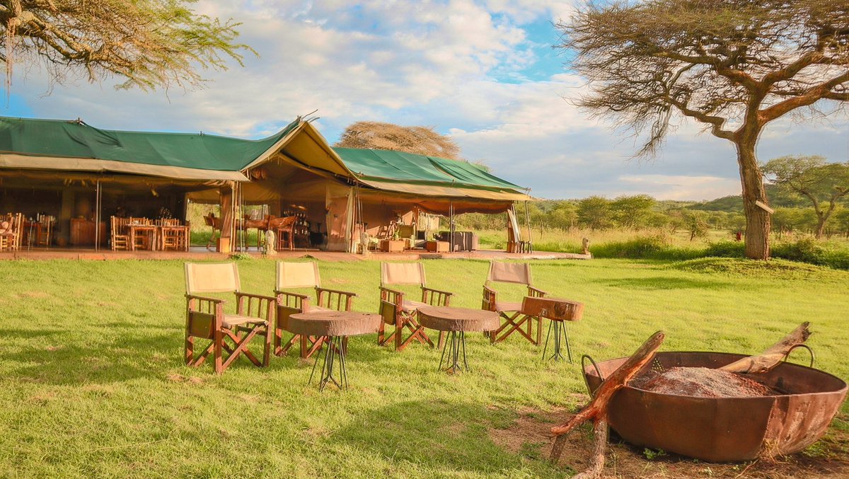 BontelSafaris tweet picture