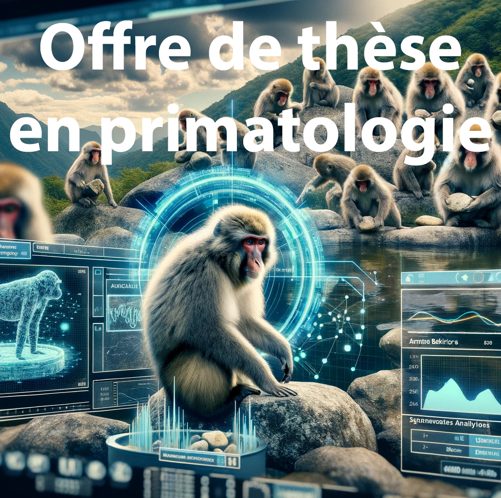 🚨OPPORTUNITE DE THESE 🚨 Je recherche un(e) candidat(e) pour cette offre de thèse ouverte au concours à l'Université de Strasbourg : Automatisation par #IA de la Reconnaissance du Comportement Animal en Milieu Sauvage : Étude sur les Macaques Japonais. thesisprojects.unistra.fr/publications/r…