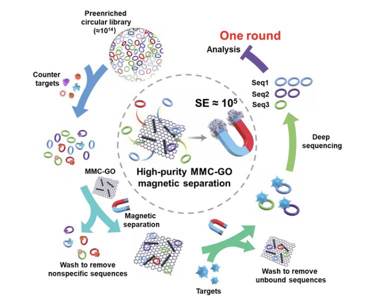 Single-Round Circular Aptamer Discovery Using Bioinspired Magnetosome-Like Magnetic Chain Cross-Linked #Graphene Oxide. Click the link below to read this free, open access article. doi.org/10.34133/resea…