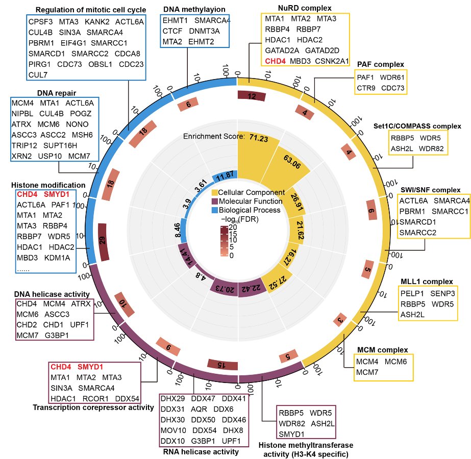 CHD4 and SMYD1 repress common transcriptional programs in the developing heart Read this Research Article from Wei Shi @WeiShi40129448, Frank Conlon @fconlon (@UNC_Biology @UNC_MHI) and colleagues: journals.biologists.com/dev/article/15…