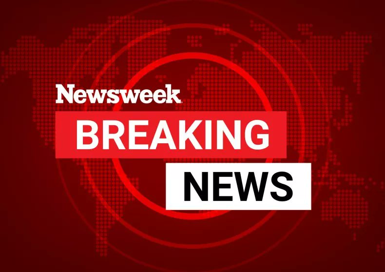 Cheetah Pizza tweet media