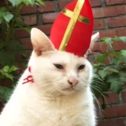 SOLcatholic's tweet photo. 28% of the total supply has been burned $Cat 

8% 
https://t.co/HcxstMrn5E

10% 
https://t.co/cXjAYaDu1A

10% https://t.co/Z2CqBSCAkG https://t.co/AUy2D0qNkY