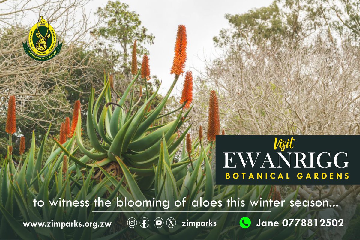 Visit Ewanrigg Botanical Gardens and witness the blooming of aloes this winter season. #inharmonywithnature