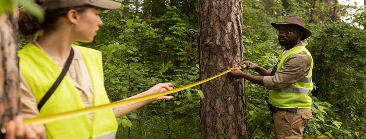 What is an Arborist? The Role and Importance of Arborists

Discover the pivotal role of arborists with ServiceTasker™. Learn how they nurture and preserve trees for vibrant landscapes

👉 Learn More - bit.ly/3UrgvGx

#servicetasker #arboriculture #treecare #arboristlife