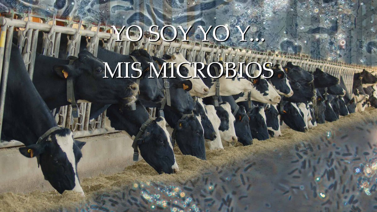 Science_Image's tweet image. ¿Podemos vivir sin nuestros microbios? ¿Qué es la microbiota? ¿Y el microbioma? ¿Somos uno o somos muchos en uno? ¿Hay  microbiota en el suelo?
caixaforumplus.org/v/yo-soy-yo-y-…
@CaixaForum @CaixaForum_CAT @Science_Image
#CaixaForumPlus 
#LaCulturaQueTeEspera 
#PlanetaMicrobio