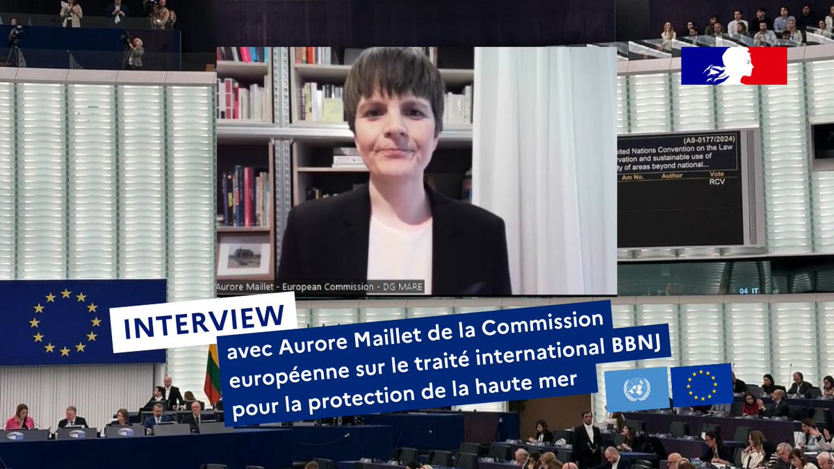 🇪🇺Le 24 avril 2024, le Parlement européen a voté à une large majorité pour la ratification du traité #BBNJ pour la protection de la haute mer. Découvrez les témoignages d'Aurore Maillet, Cheffe de Délégation de l'UE pour les négociations BBNJ @EU_MARE. 👉youtu.be/BNvBpg7DBuM?si…