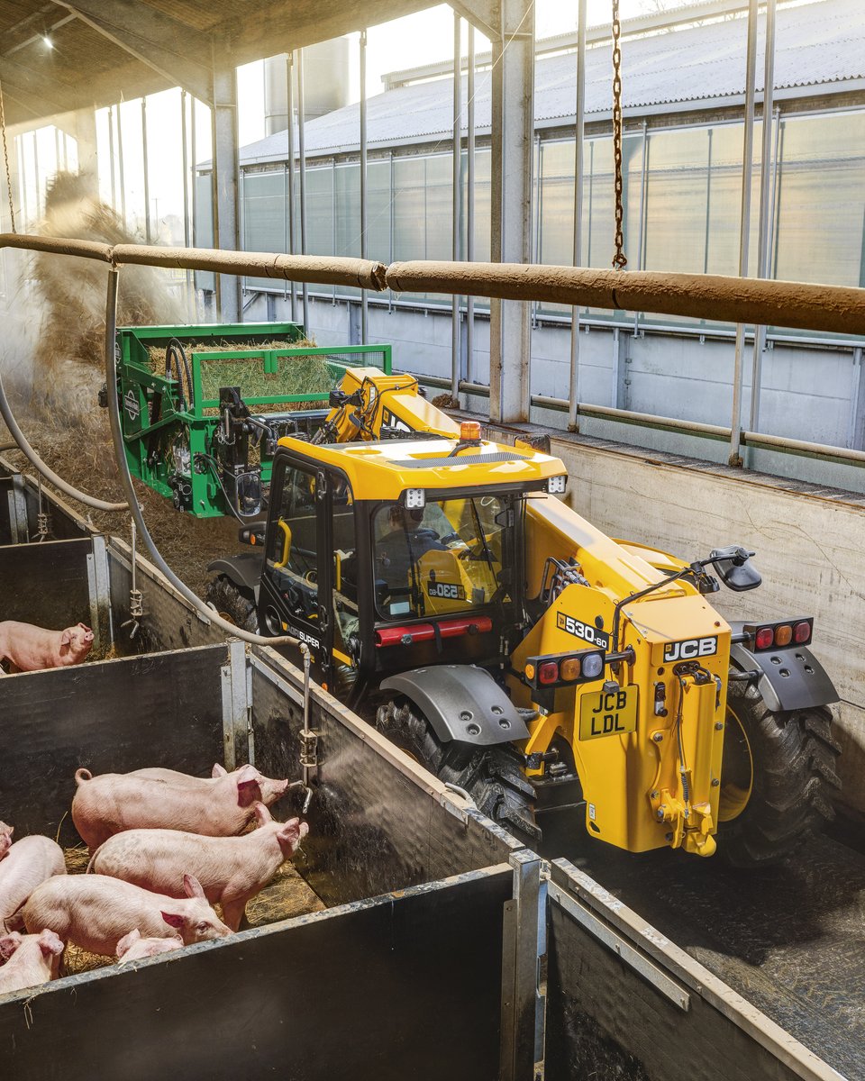 Efficient in every way. The #JCB 530-60 AGRISUPER Loadall cleaning out and bedding pigs. Discover more: brnw.ch/21wJx9X. #TelehandlerTuesday