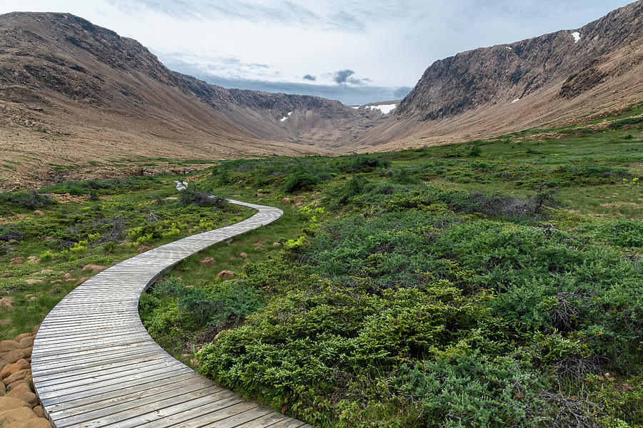 A #boardwalk leads through some unusual vegetation and up to the end of the #Tablelands #trail in #GrosMorne #NationalPark, #Newfoundland. #BuyIntoArt #Nature #NaturePhotography john-twynam.pixels.com/featured/board…