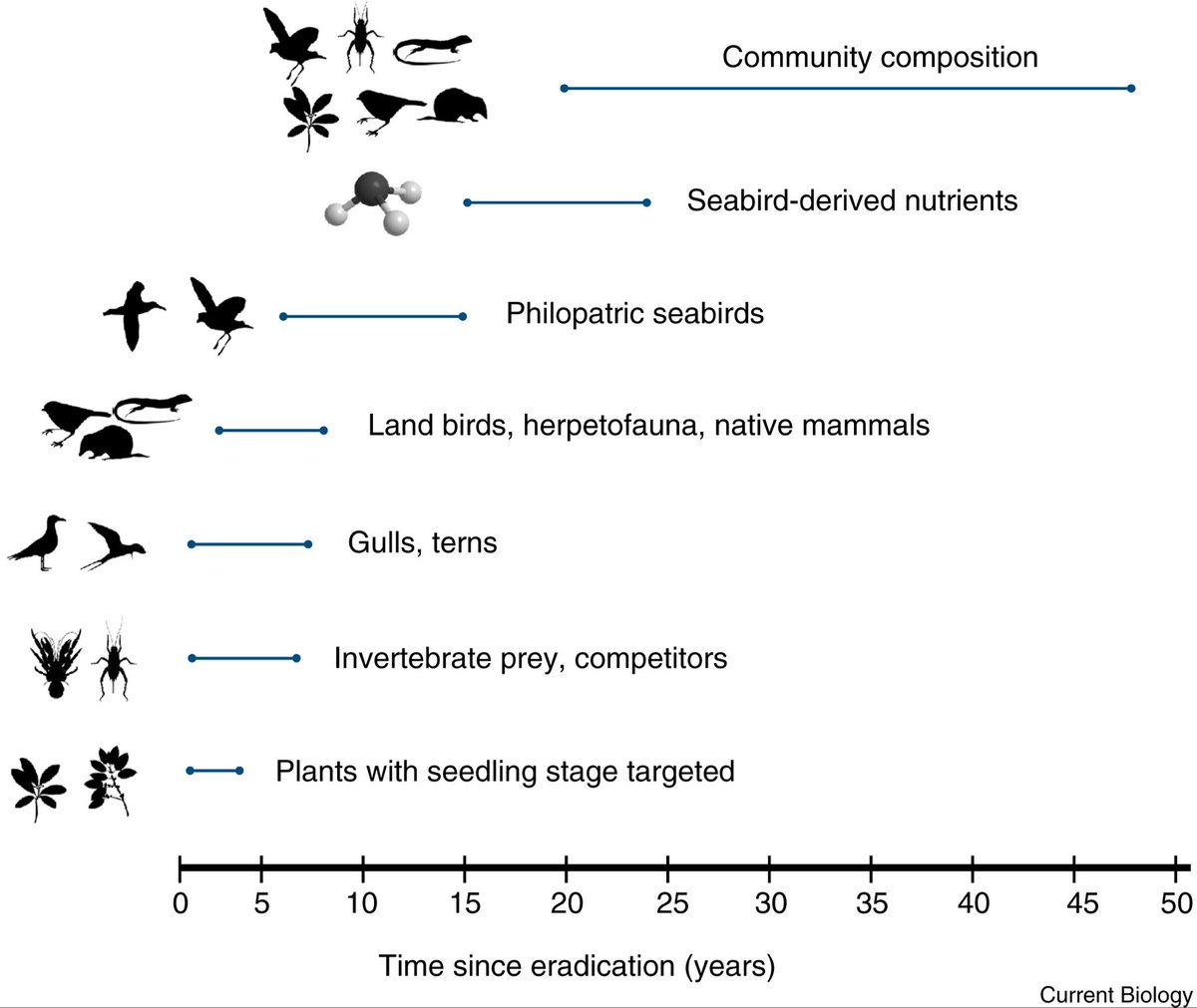Species eradication for ecosystem restoration - really enjoyed writing this piece for a special issue in @CurrentBiology with @DocHPJones and @cbenkwitt. Currently open access: sciencedirect.com/science/articl…