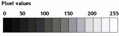 Dalam pengolahan citra, pixel2 dalam image ini direpresentasikan dalam matriks 

Setiap pixel (atau cell dalam matriks) punya value/nilai intensitas berbeda yang menentukan warna kasat matanya

Range valuenya: (hitam) 0-255 (putih)
Klo berwarna rgb ga bahas dulu males...