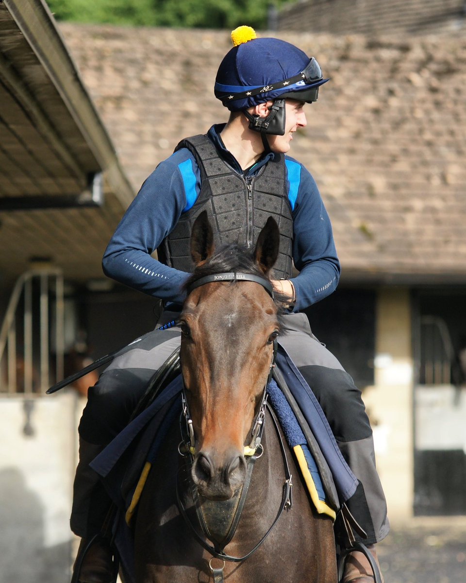 We have 5 runners today.

At Ffos Las, Richie rides Limetree Boy in the 5.05 Handicap Chase.

At Southwell, James Bowen rides Morning Spirit in the 5.12 Handicap Chase and Jack Hogan rides Mersey Street (pictured) in the 6.42 Novices’ Handicap Hurdle.

1/2
