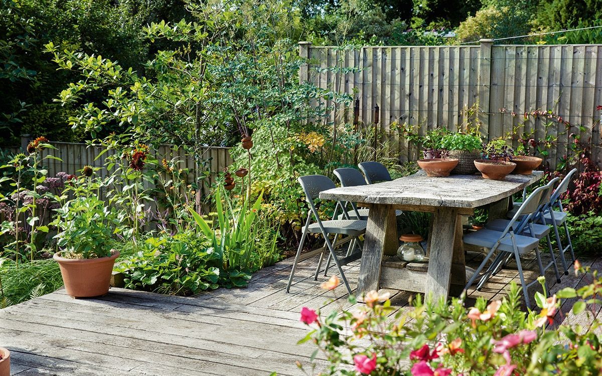 Lockdowns during the pandemic were times of professional uncertainty for garden designer Ann-Marie Powell, but they let her focus on her own neglected garden and rediscover a passion for planting. buff.ly/3QxvIEZ