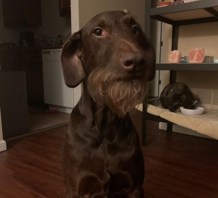 pistachqueue's tweet image. Mo ami charaf